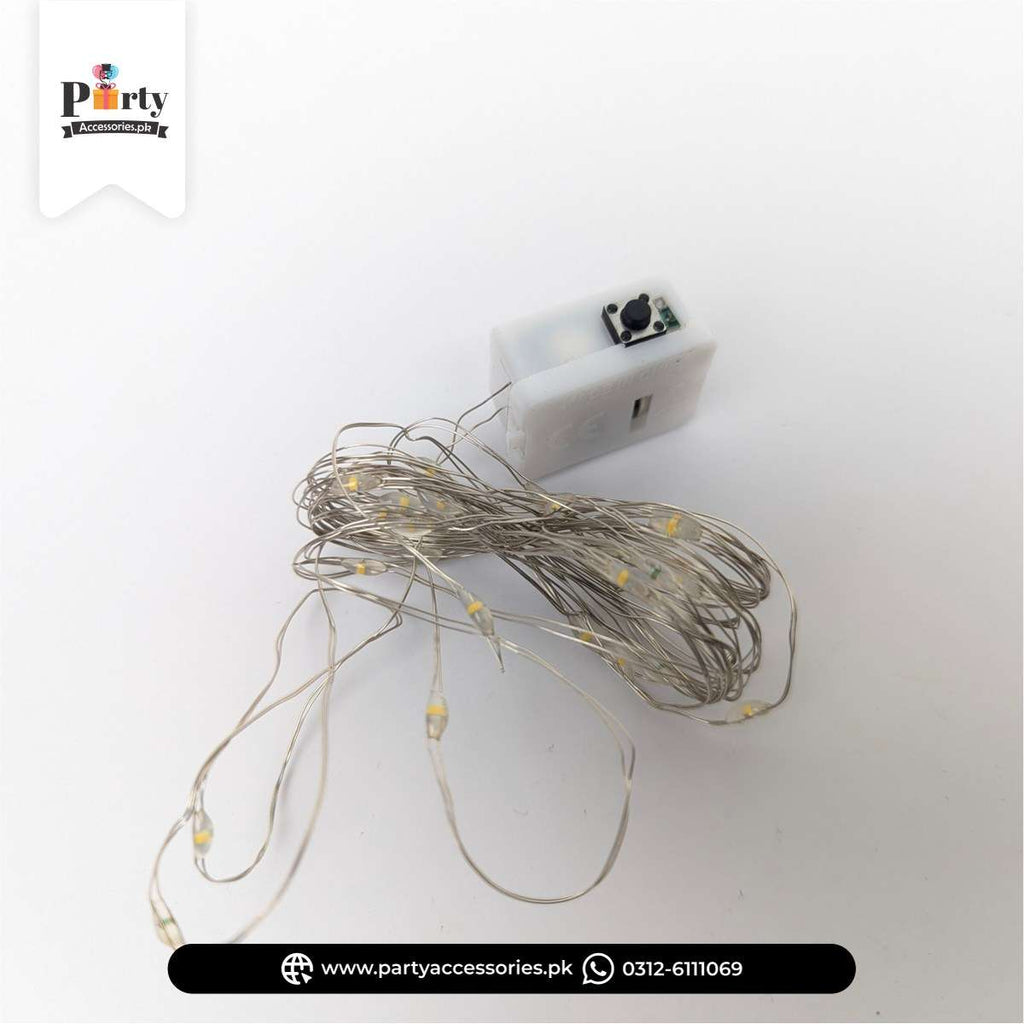 Battery Operated Warm White Copper Wire LED String Fairy Lights