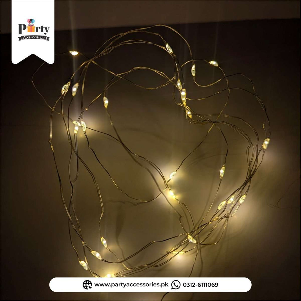 Small Battery Operated Fairy Lights for Decoration 
