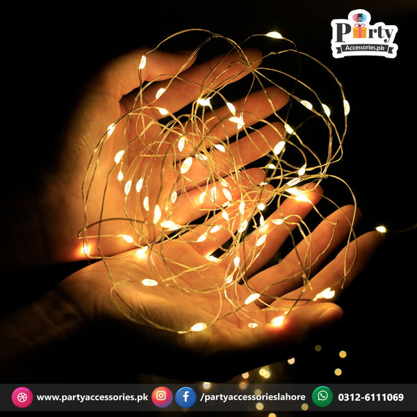 LED copper wire Fairy light string Battery operated