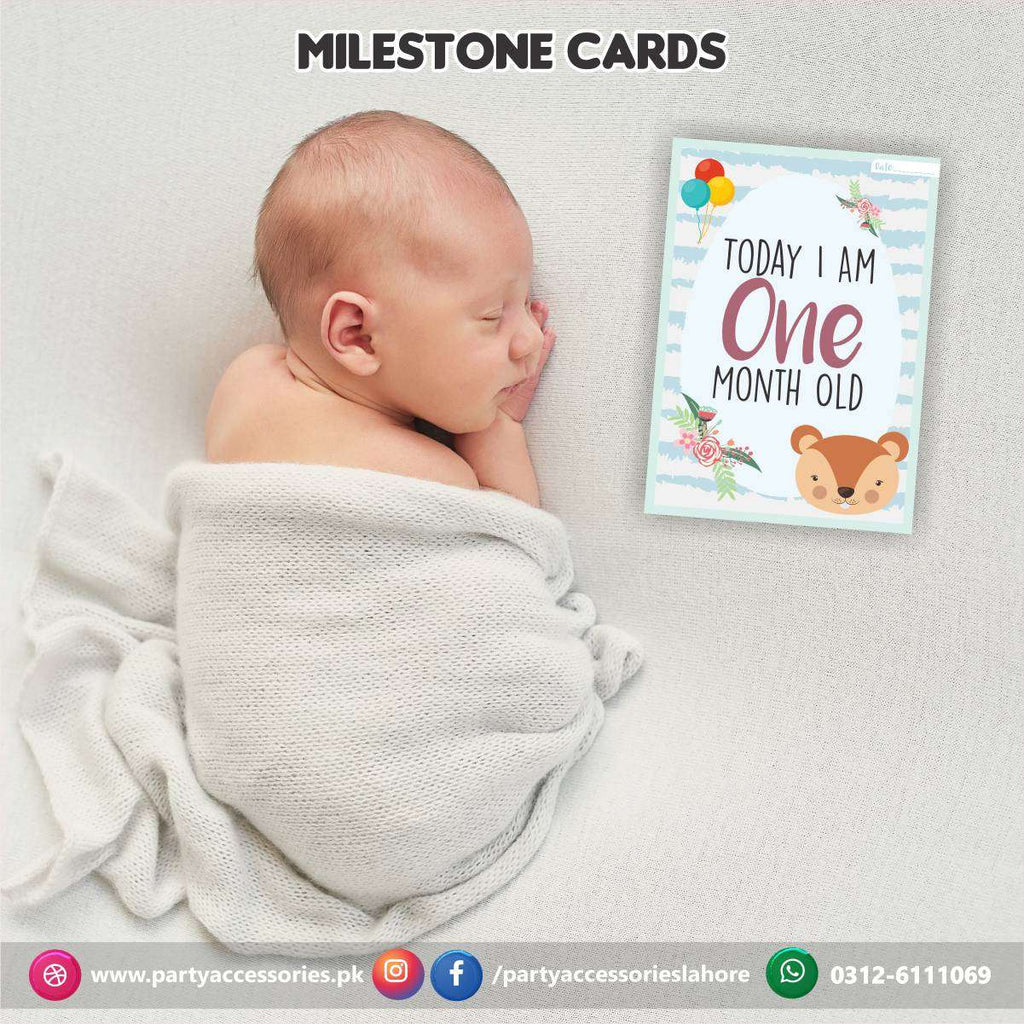 Baby milestone Photo cards set | New Born Photoshoot Baby Photo cards Gift