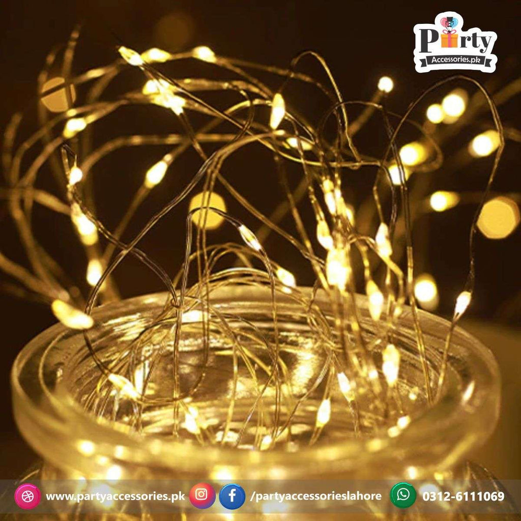 LED copper wire Fairy light string Battery operated