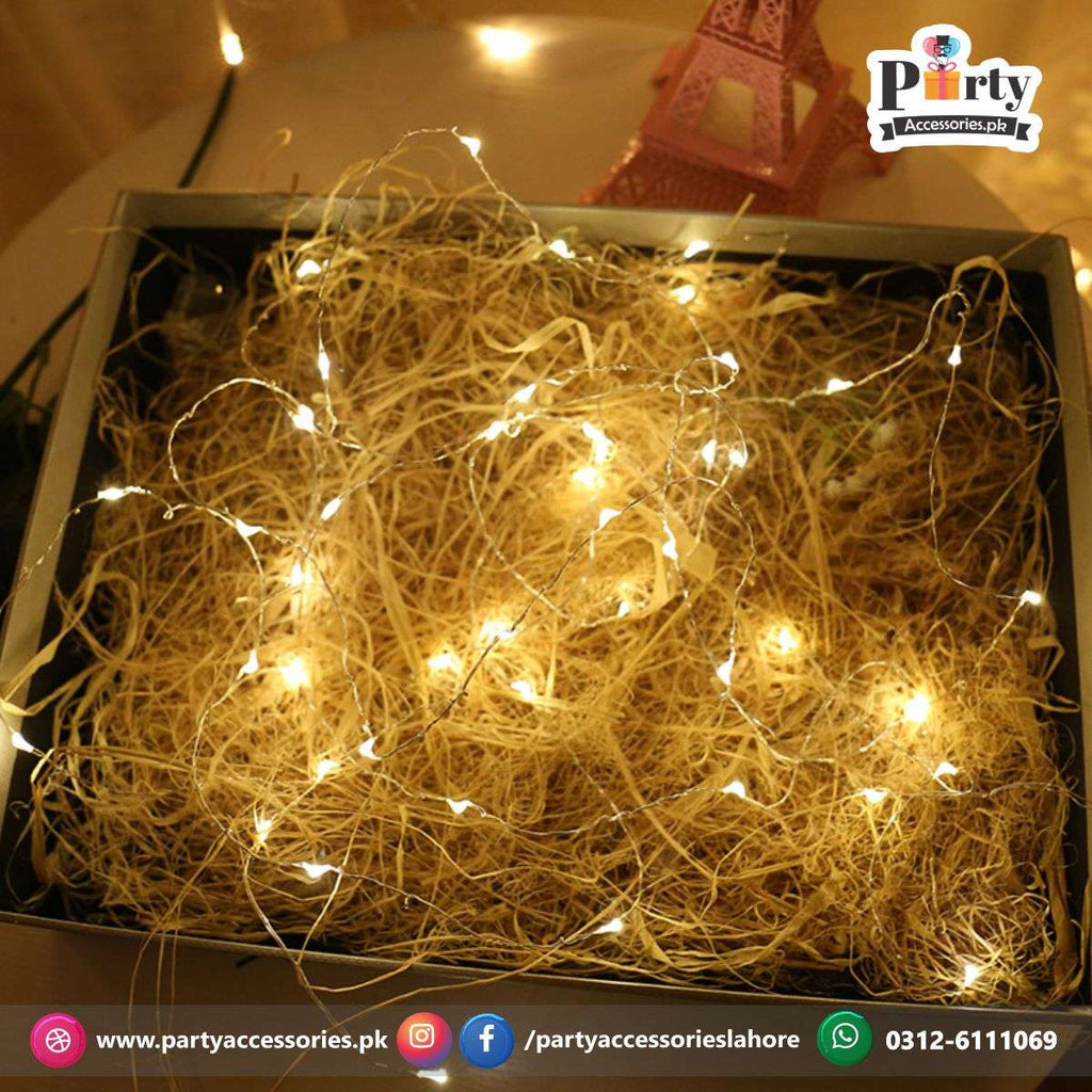 LED copper wire Fairy light string Battery operated
